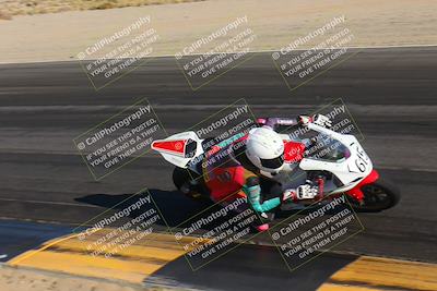 media/Nov-12-2023-SoCal Trackdays (Sun) [[5d1fba4e7d]]/Turn 14 Inside (2pm)/